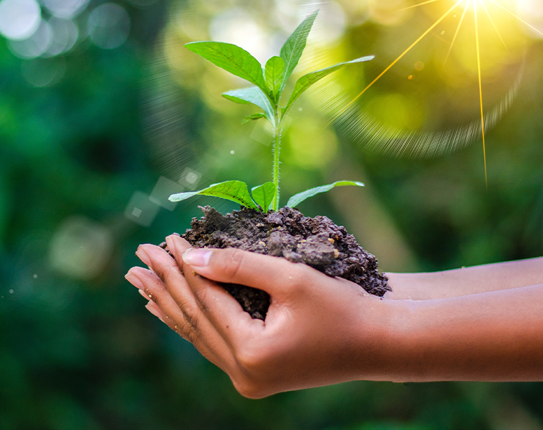 Eco-sistema il pianeta nella Giornata Mondiale dell’Ambiente