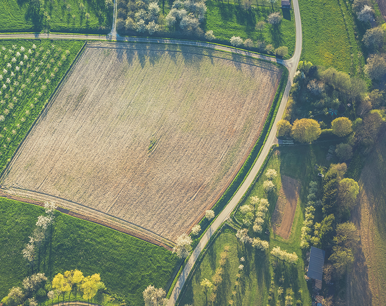 Al tavolo con i Ministri: Segui qui la diretta delle 14:00!