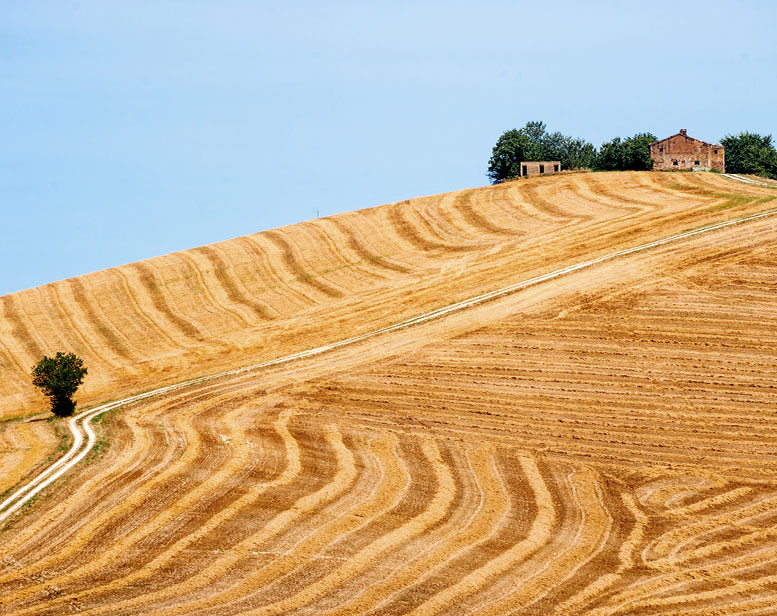 Metti le radici alla tua impresa agricola