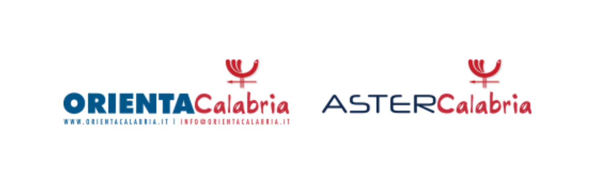 Orienta Calabria dal 20 al 22 gennaio